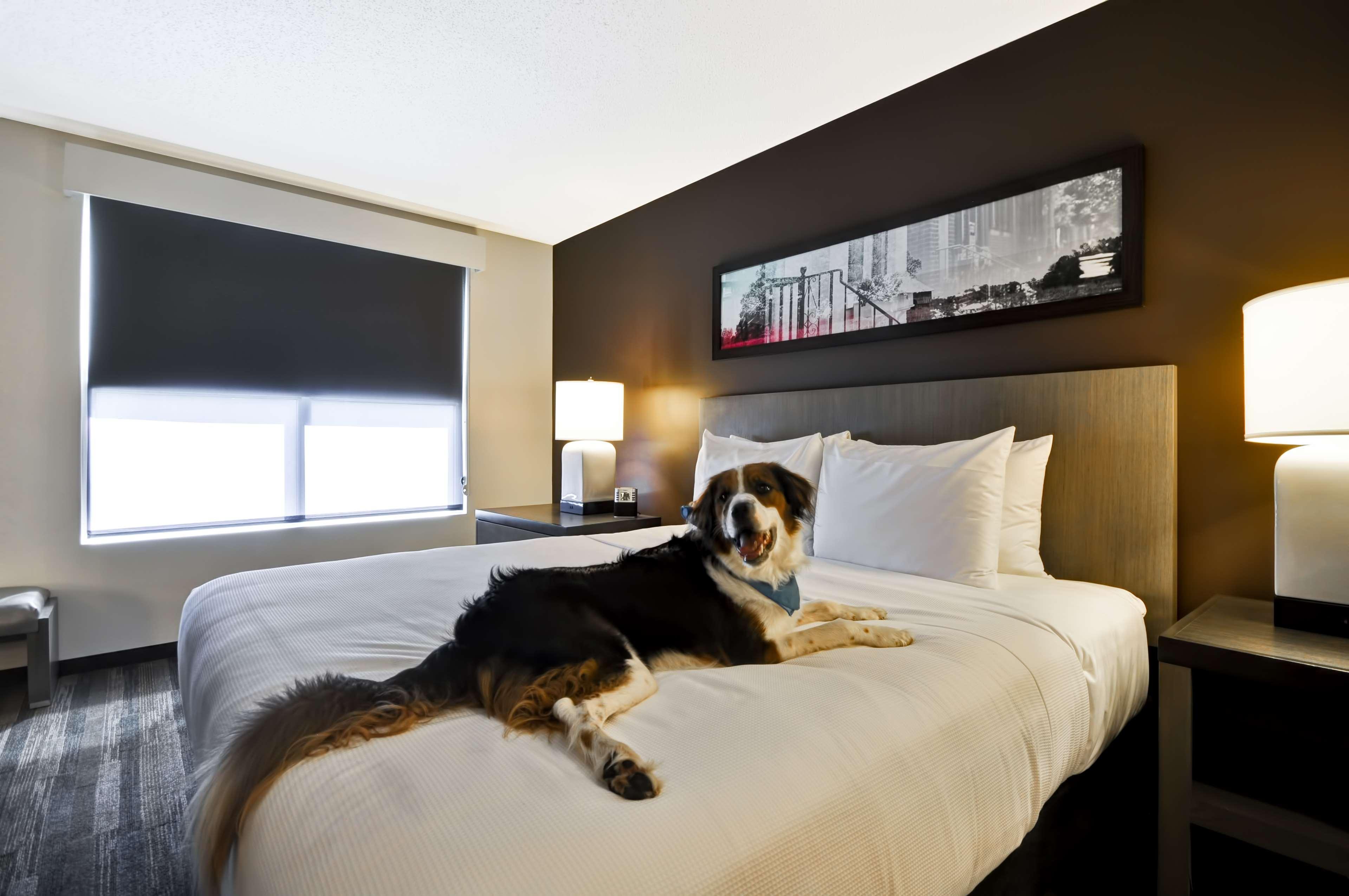 Hyatt House Atlanta Cobb Galleria Smyrna Ngoại thất bức ảnh