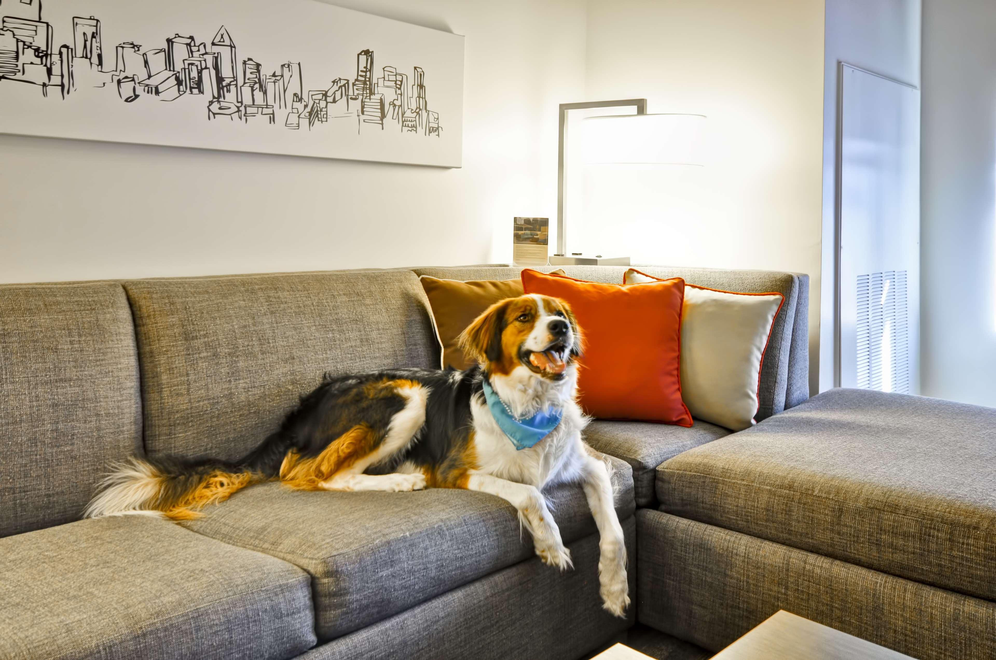 Hyatt House Atlanta Cobb Galleria Smyrna Ngoại thất bức ảnh