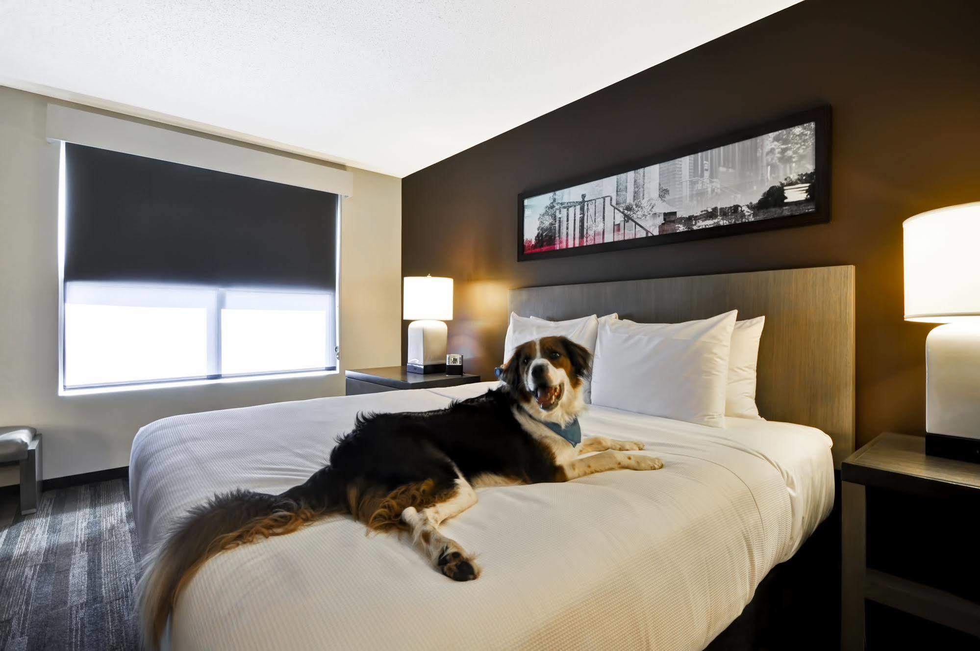 Hyatt House Atlanta Cobb Galleria Smyrna Ngoại thất bức ảnh